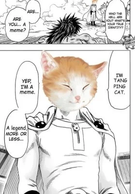 Tang Ping Cat’s face in a black and white manga panel