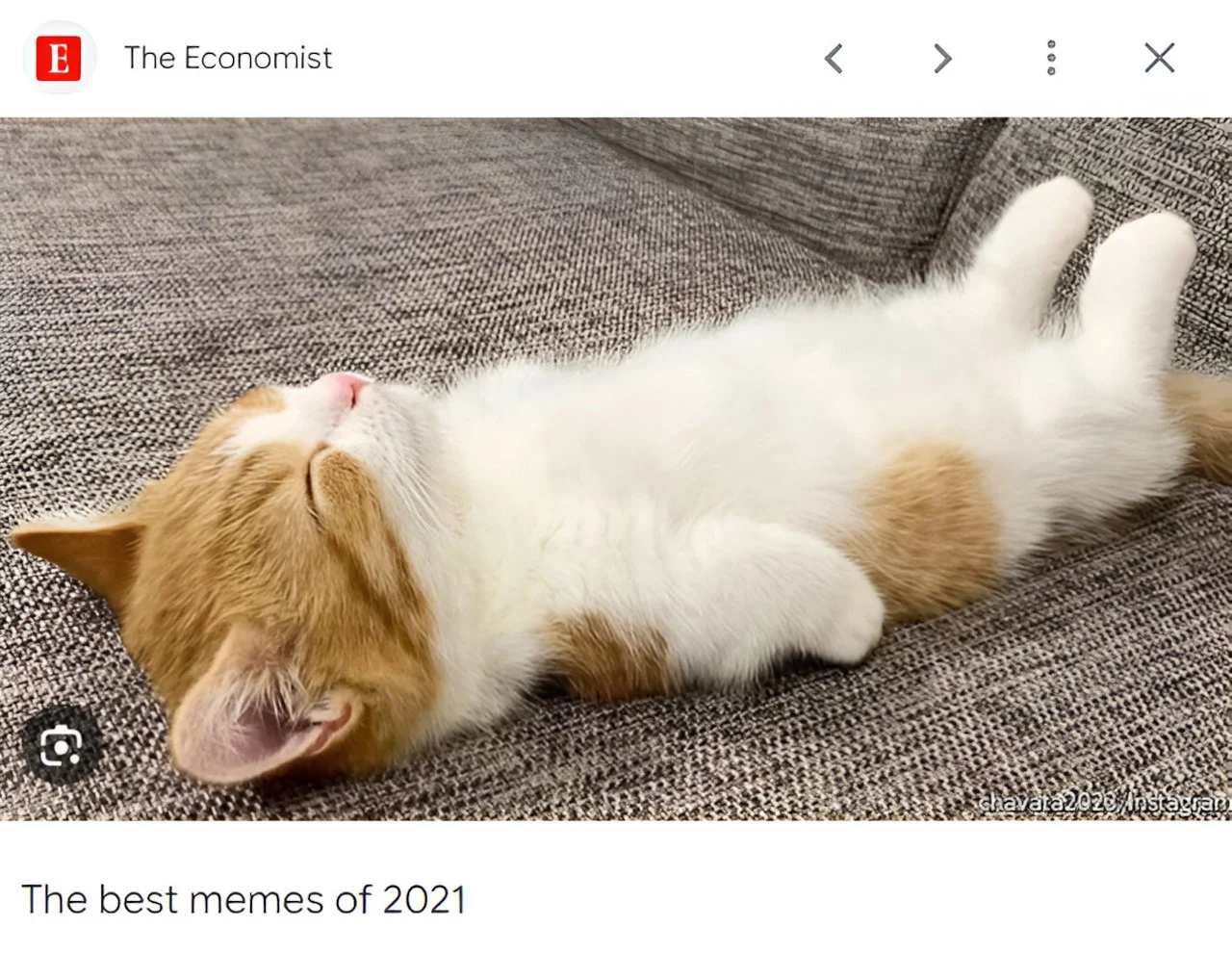 A screenshot of The Economist’s Best Memes of 2021, showing the original reclining cat