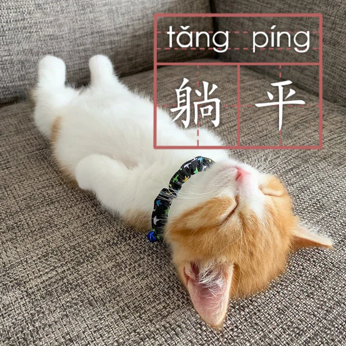 An orange and white cat lying on its back, with the words tang ping and 躺平